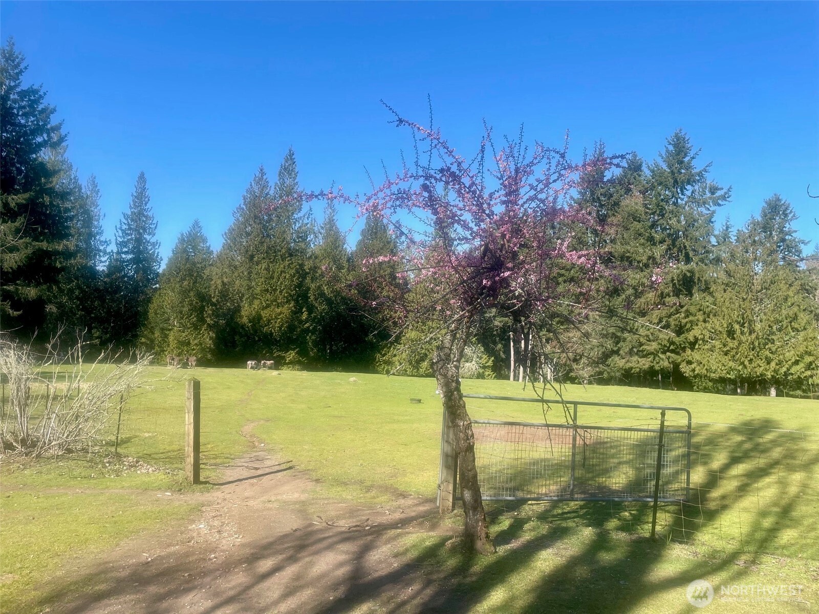 6529 Key Peninsula Hwy Property Photo 7