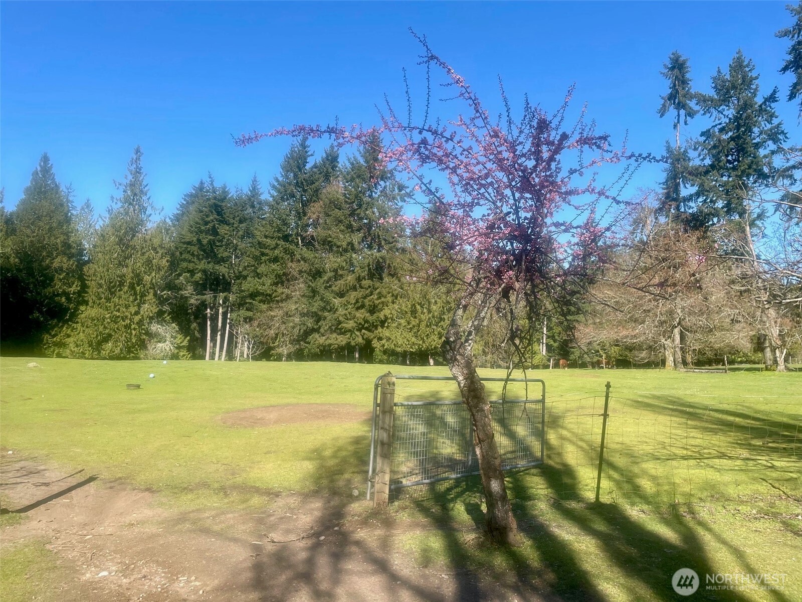 6529 Key Peninsula Hwy Property Photo 8