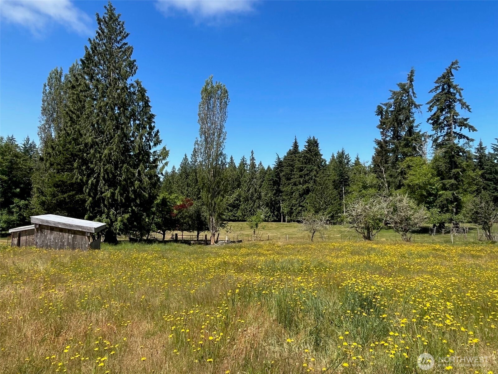 6529 Key Peninsula Hwy Property Photo 14