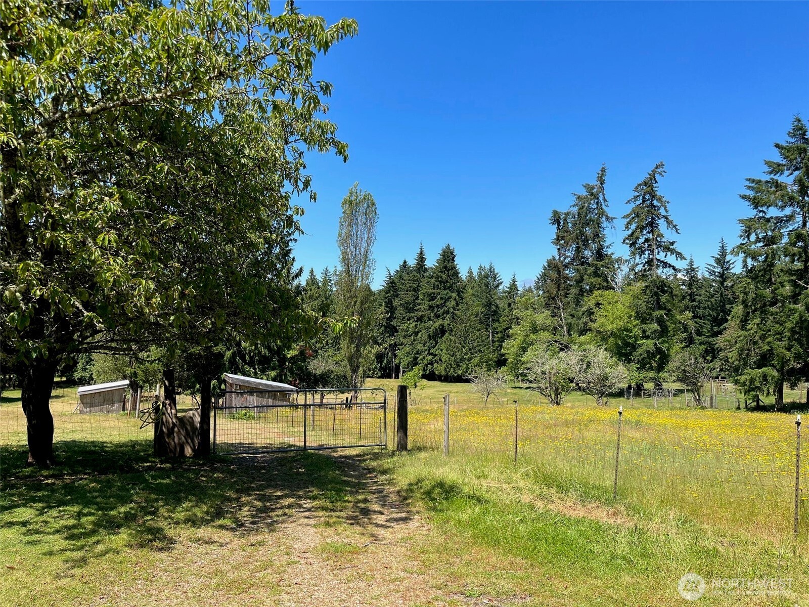 6529 Key Peninsula Hwy Property Photo 18