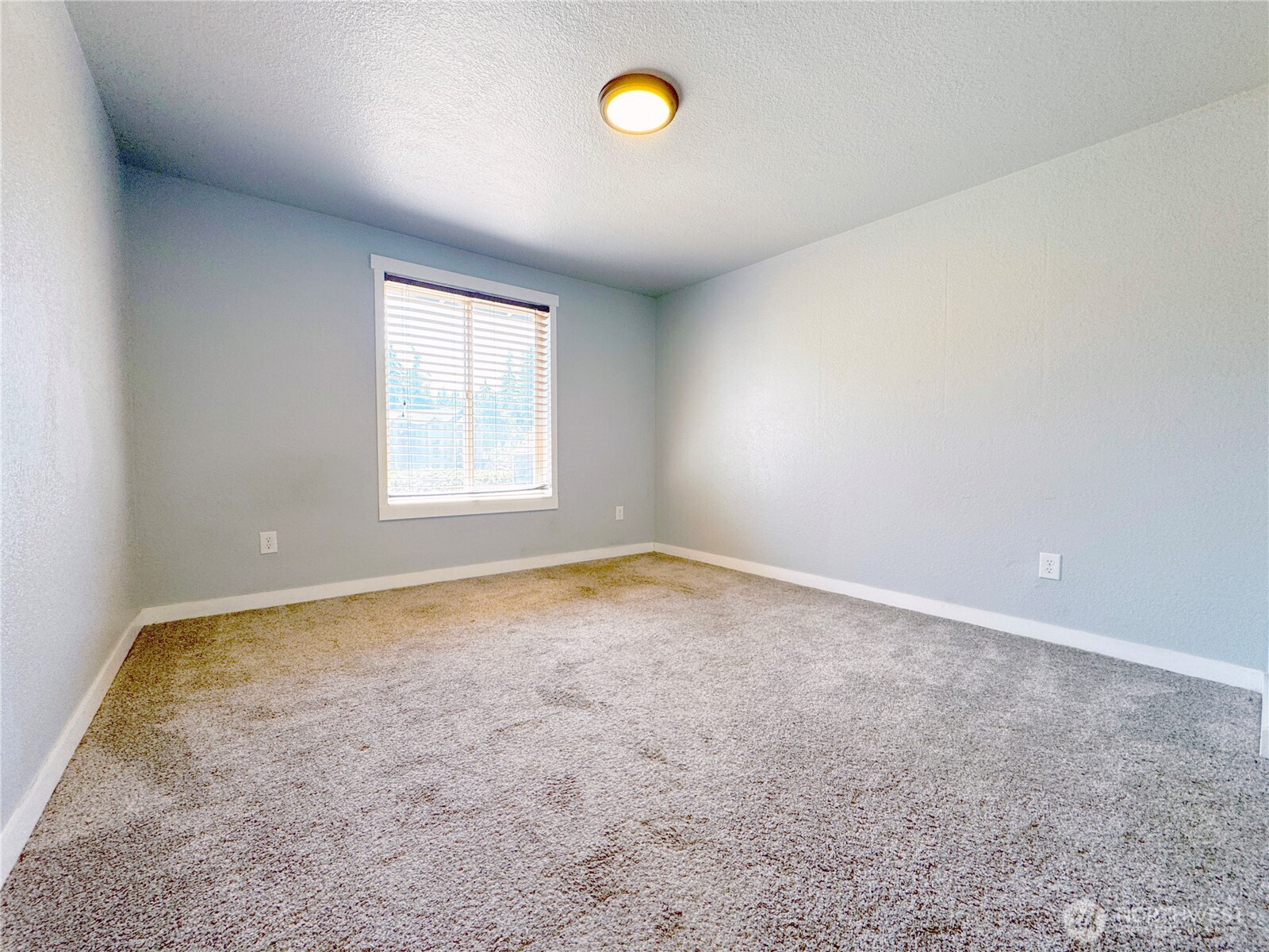 3717 S 316th Street Property Photo 17