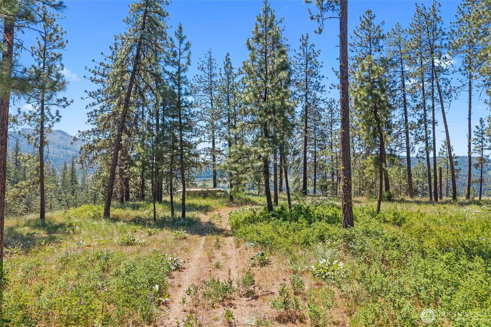 5793 Fruitland Valley Road Property Photo 6