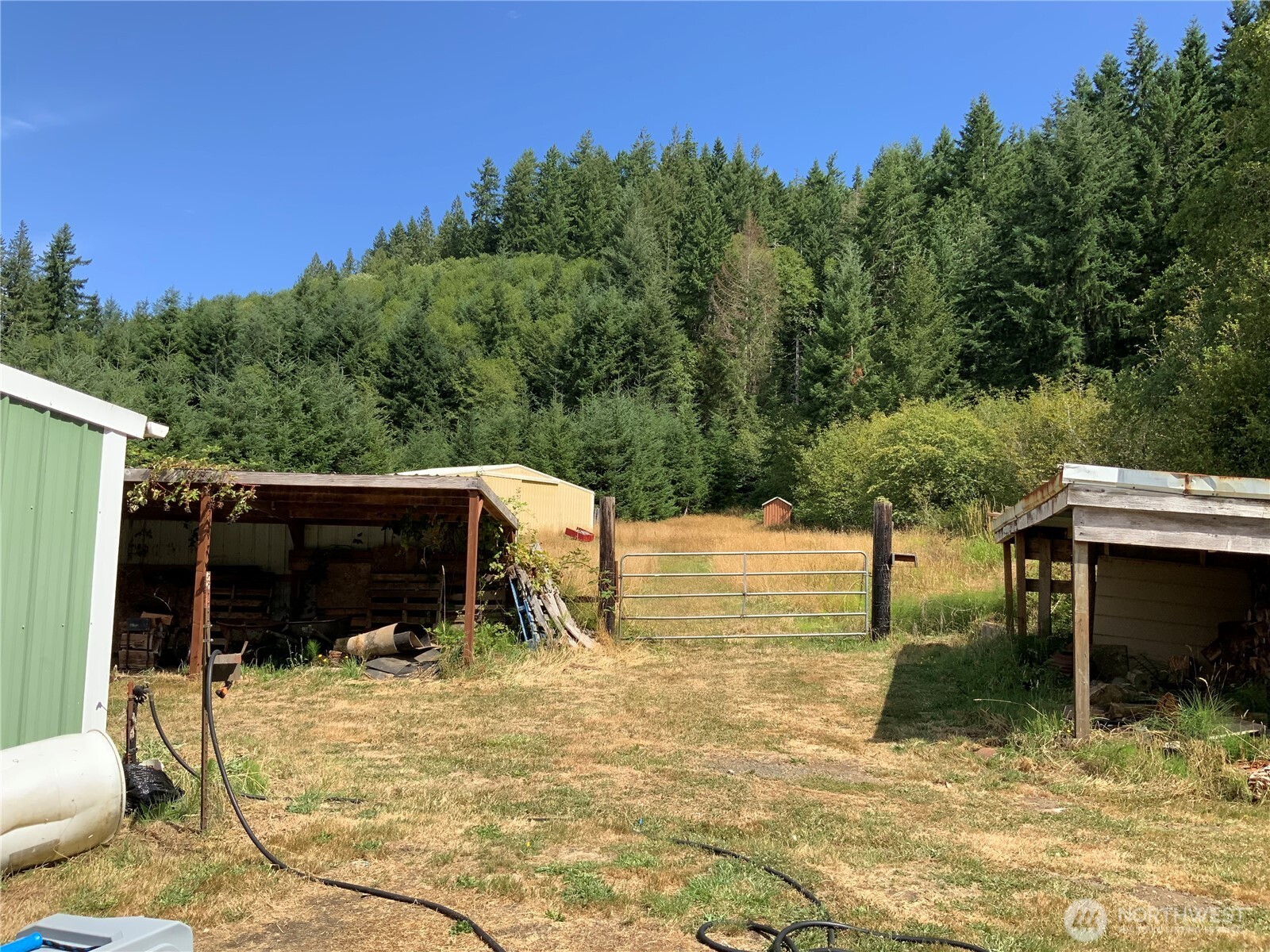 100 Half Moon Creek Road Property Photo 4
