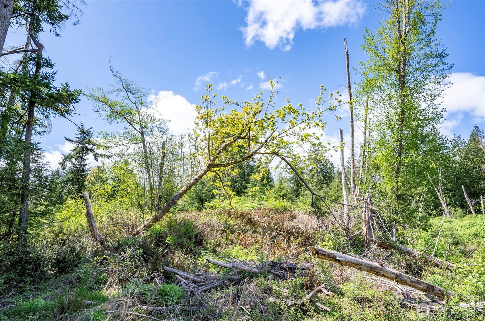 18307 Herron Road Property Photo 13