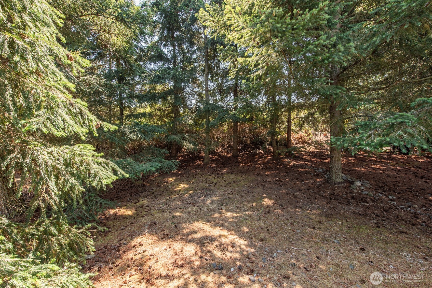 101 Snapdragon Lane Property Photo 27