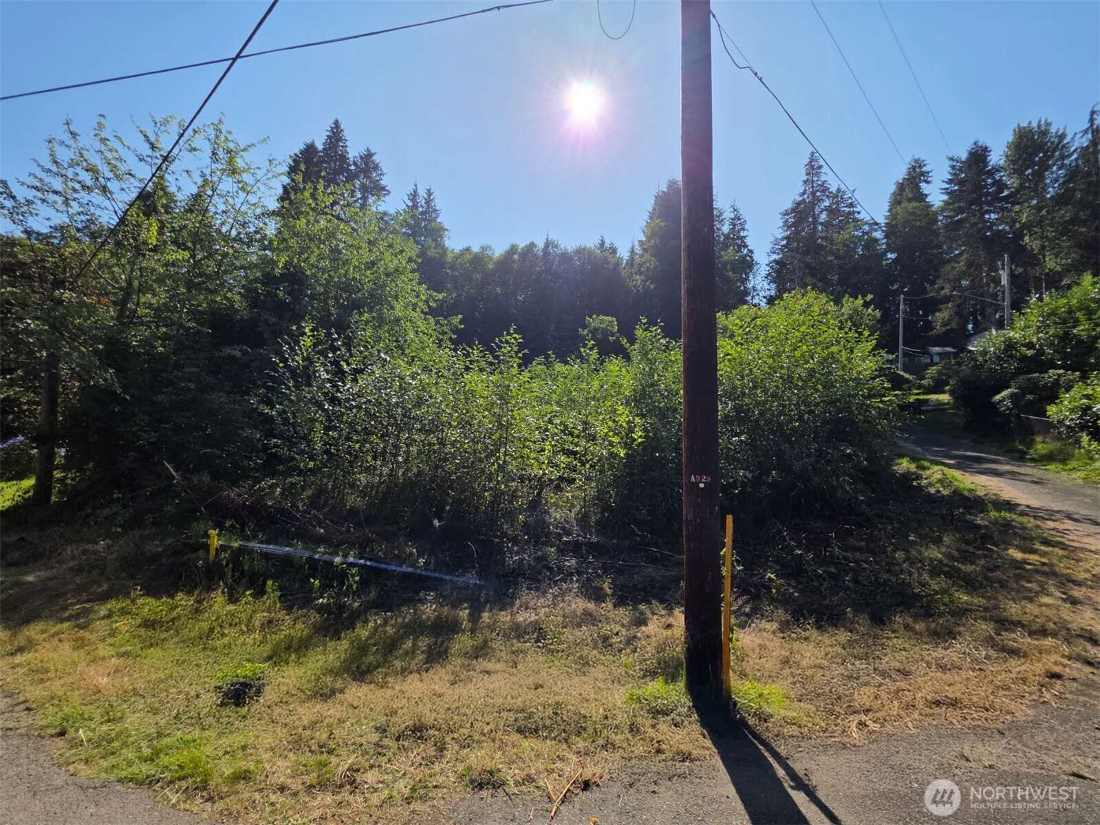 929 Duffy St Property Photo 2