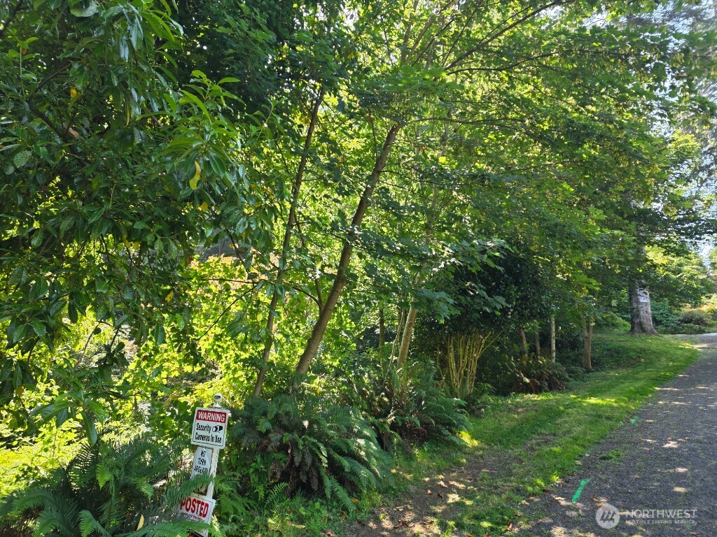 0 Xx Friday Lane Property Photo 4