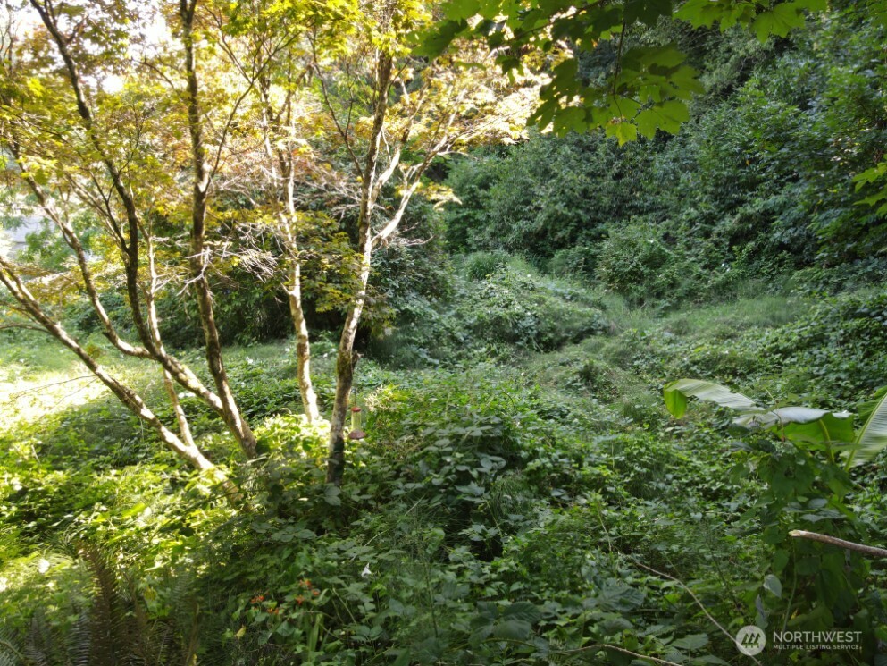 0 Xx Friday Lane Property Photo 5