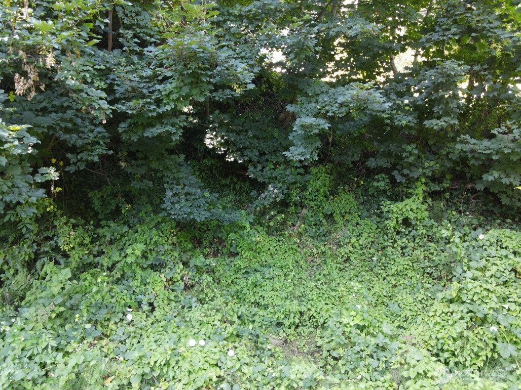 0 Xx Friday Lane Property Photo 7