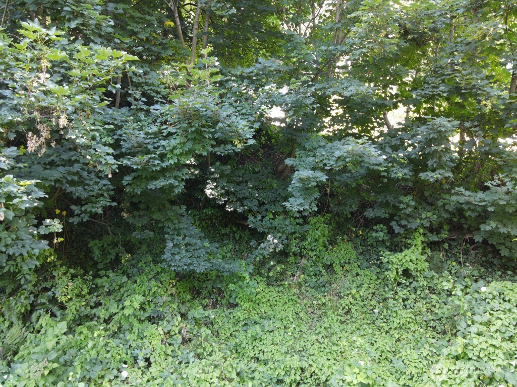 0 Xx Friday Lane Property Photo 8