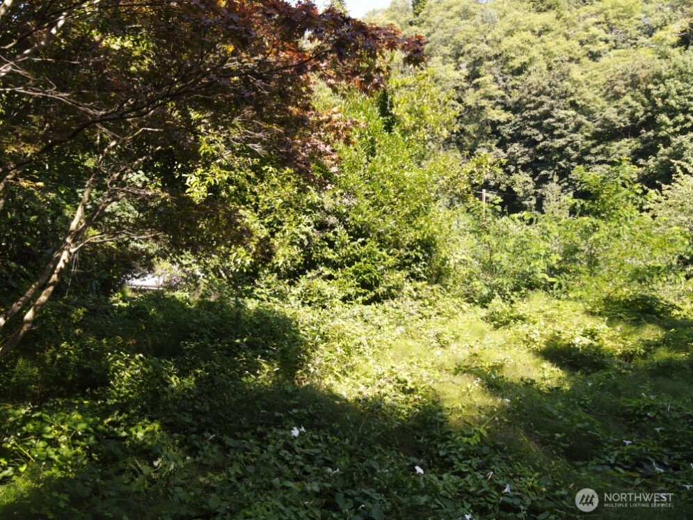 0 Xx Friday Lane Property Photo 9