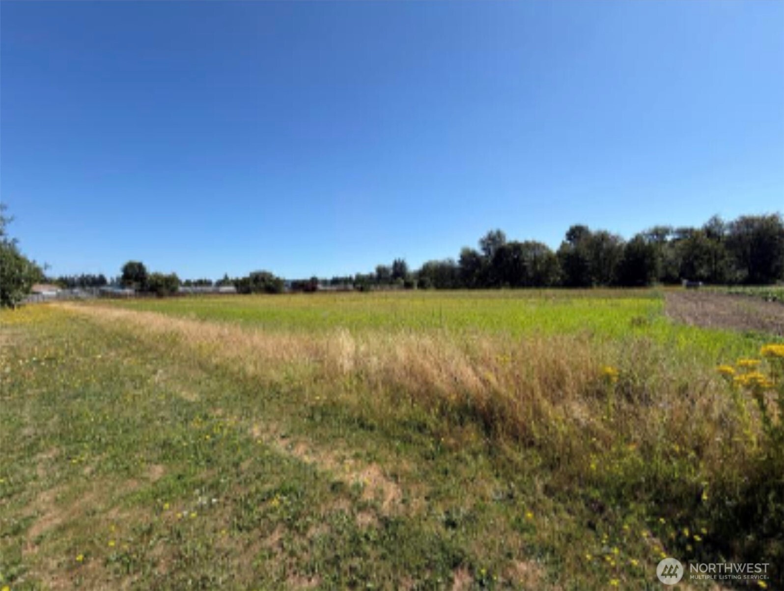 12223 State Route 162 Property Photo 4