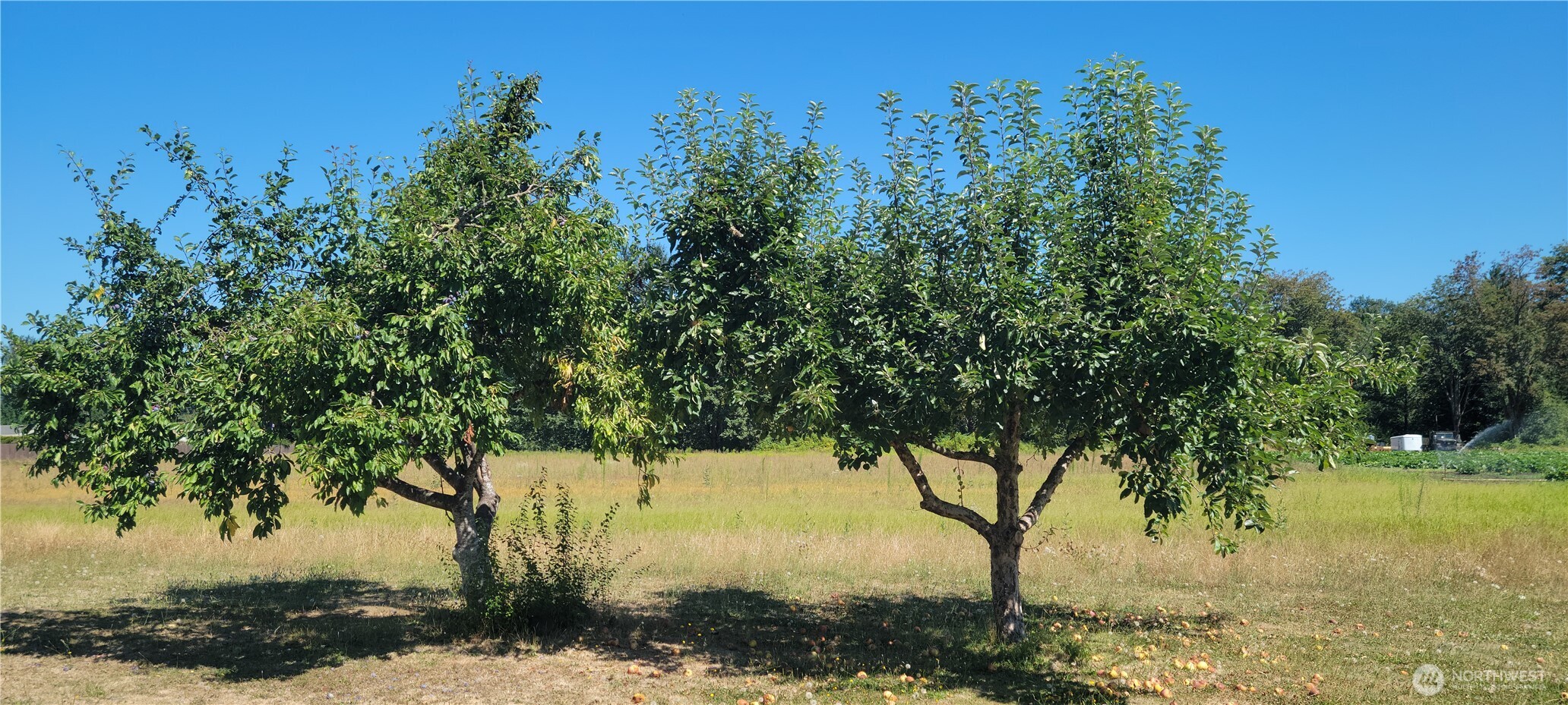 12223 State Route 162 Property Photo 6