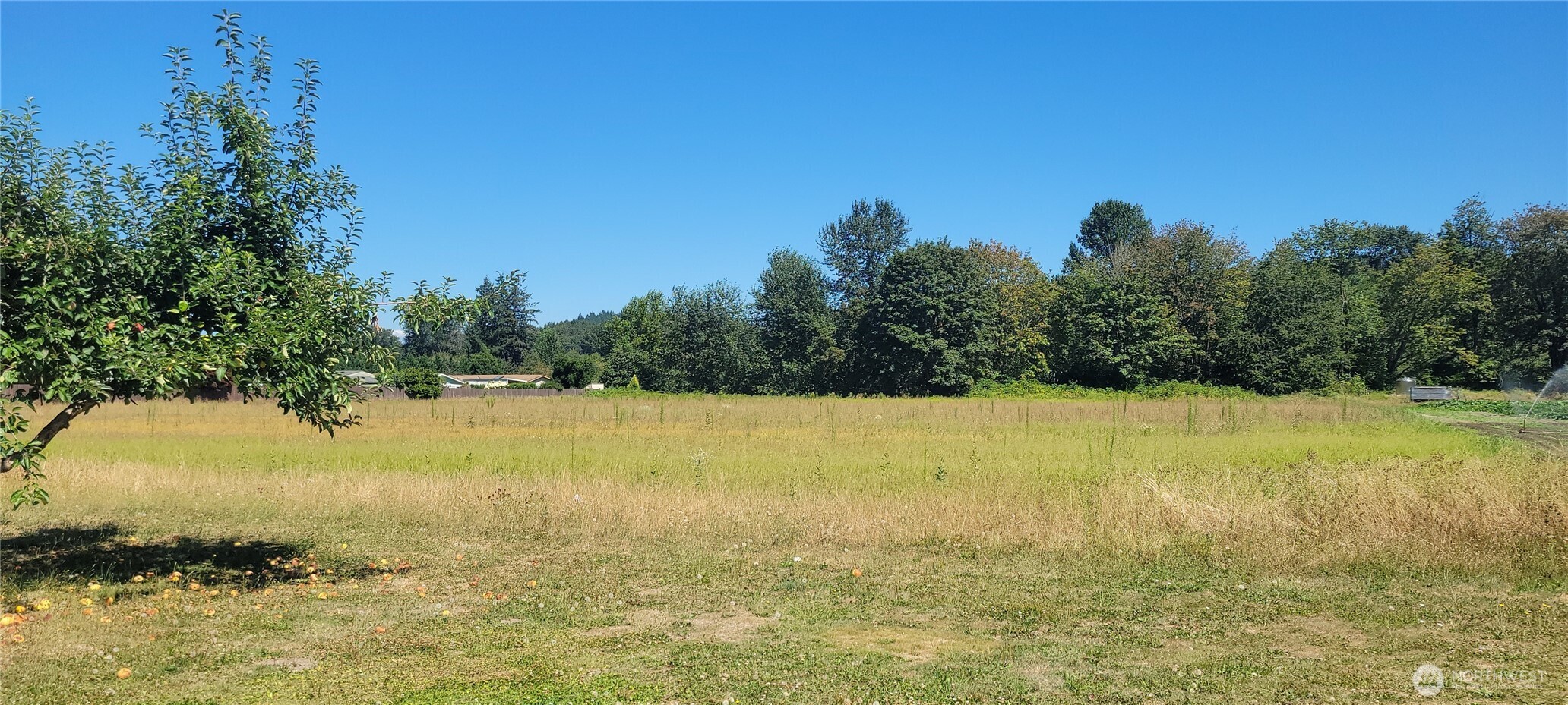 12223 State Route 162 Property Photo 7