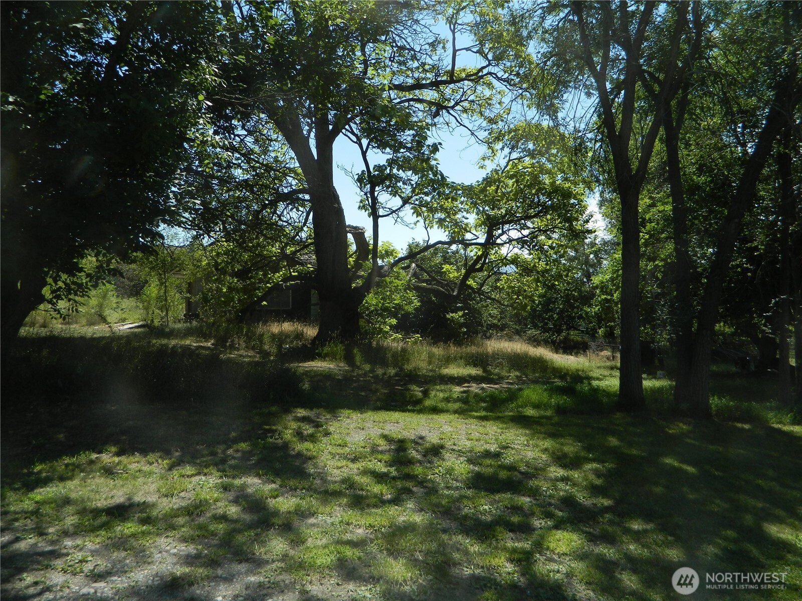 31676 G Highway 97 Property Photo 13