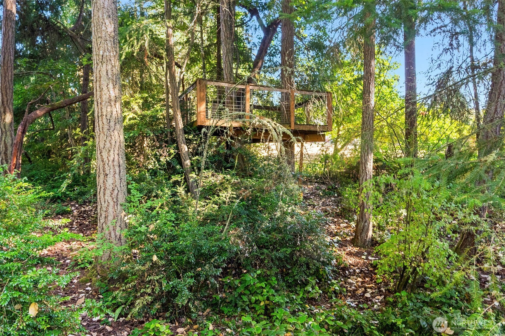4648 D Milluhr Drive Property Photo 34