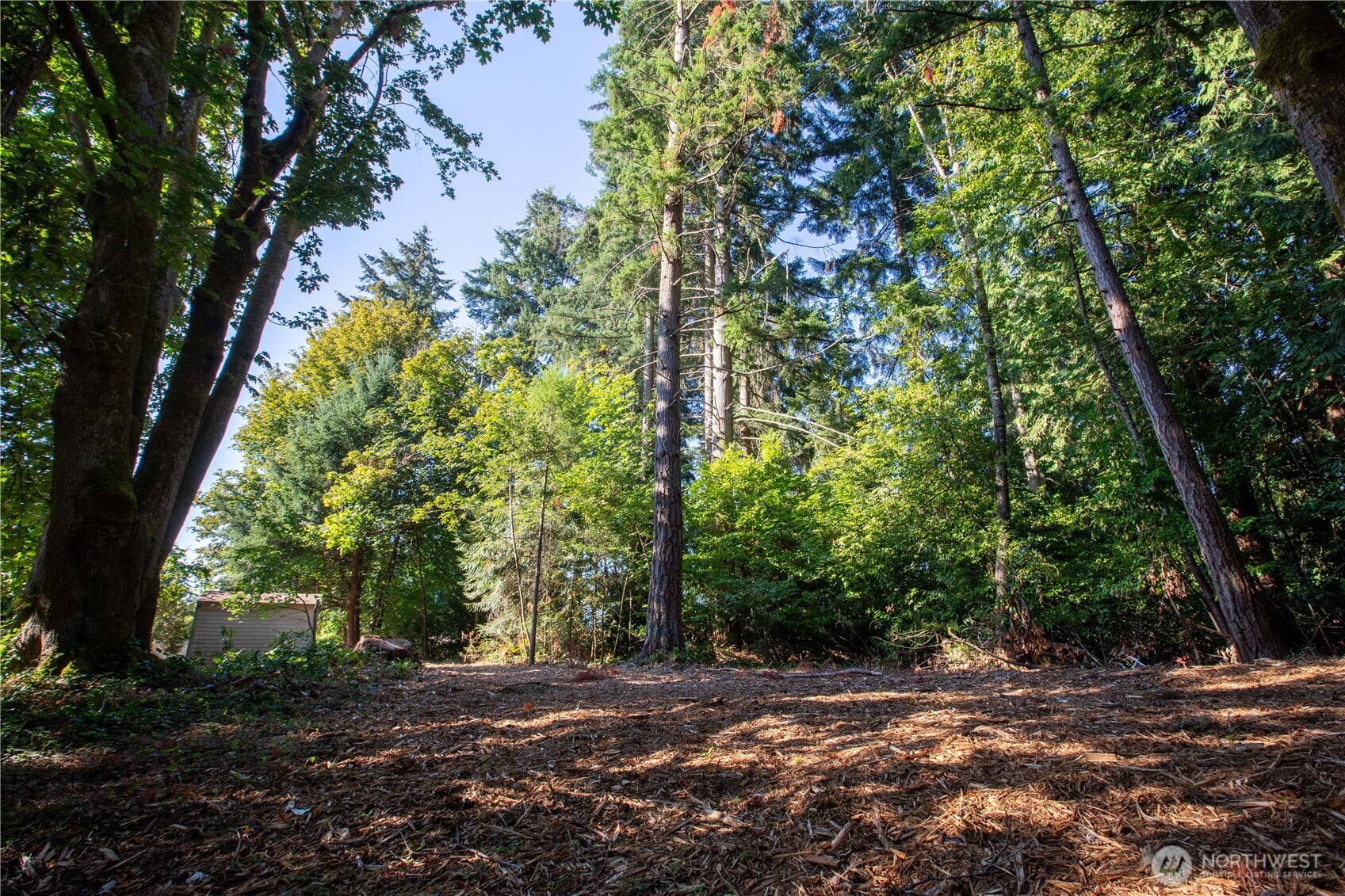 6411 Sierra Drive Property Photo 30