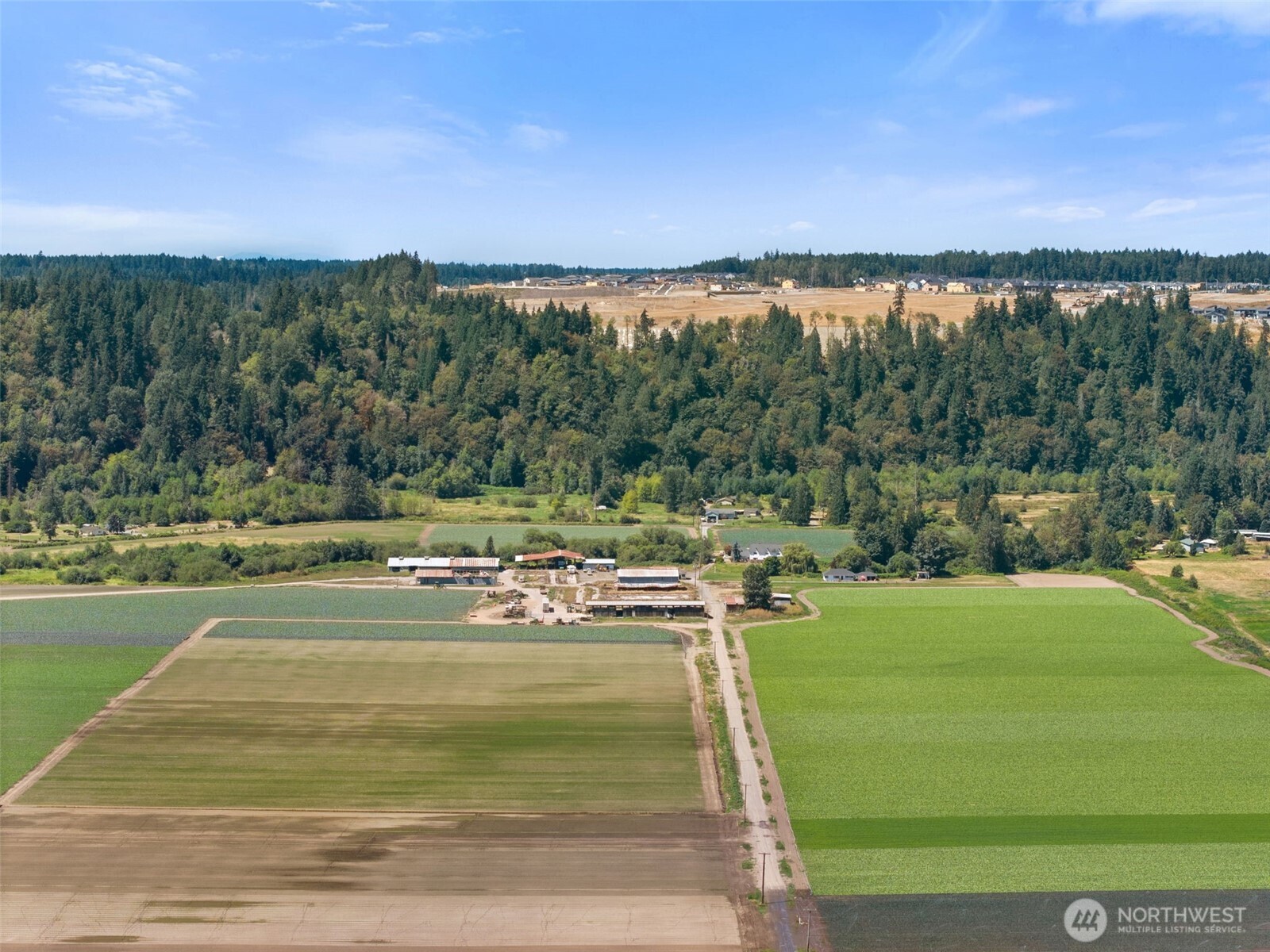 18213 & 18307 150th Avenue Ct Property Photo 6