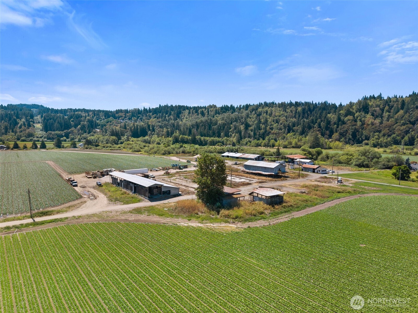 18213 & 18307 150th Avenue Ct Property Photo 8