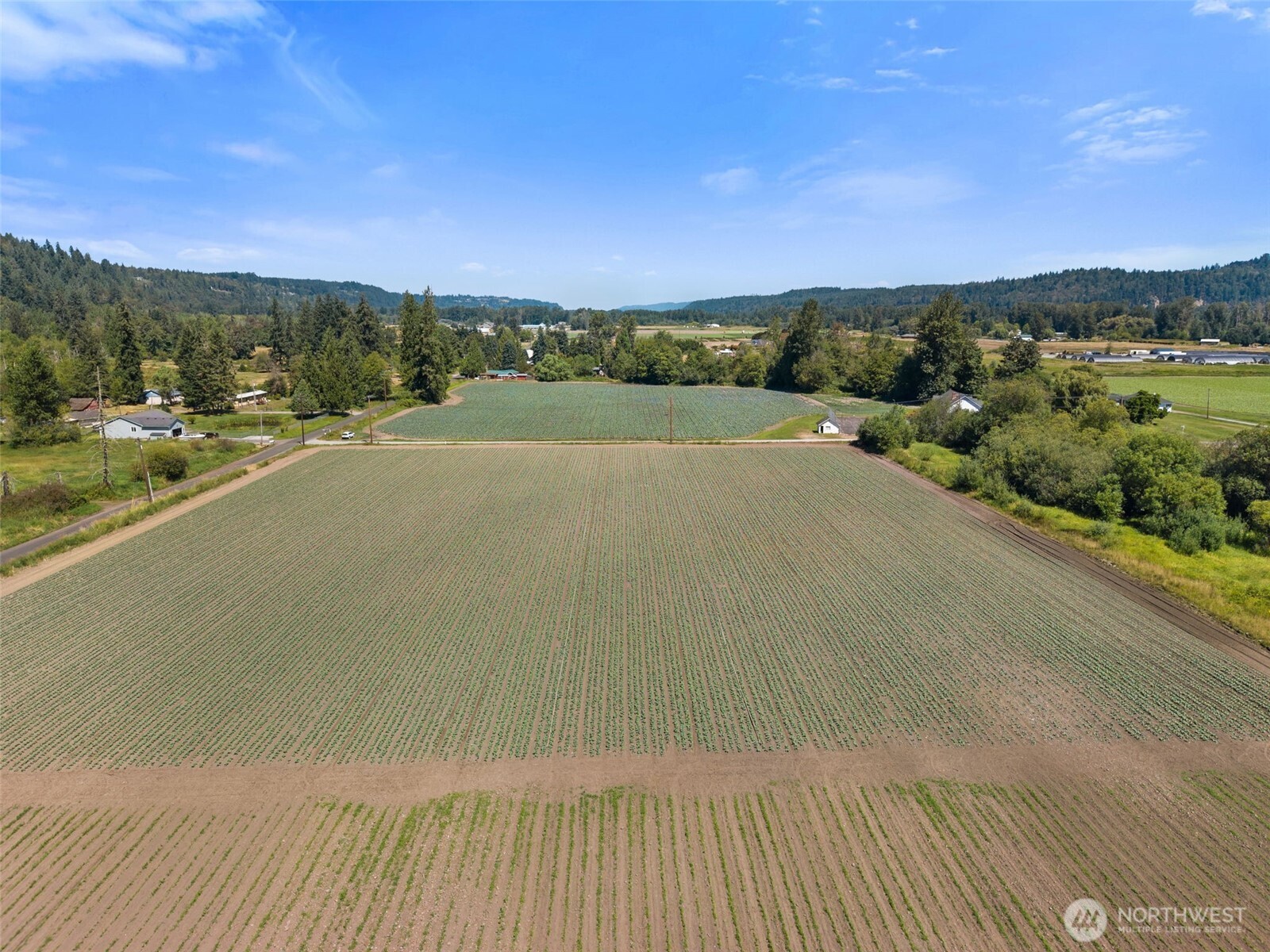 18213 & 18307 150th Avenue Ct Property Photo 11