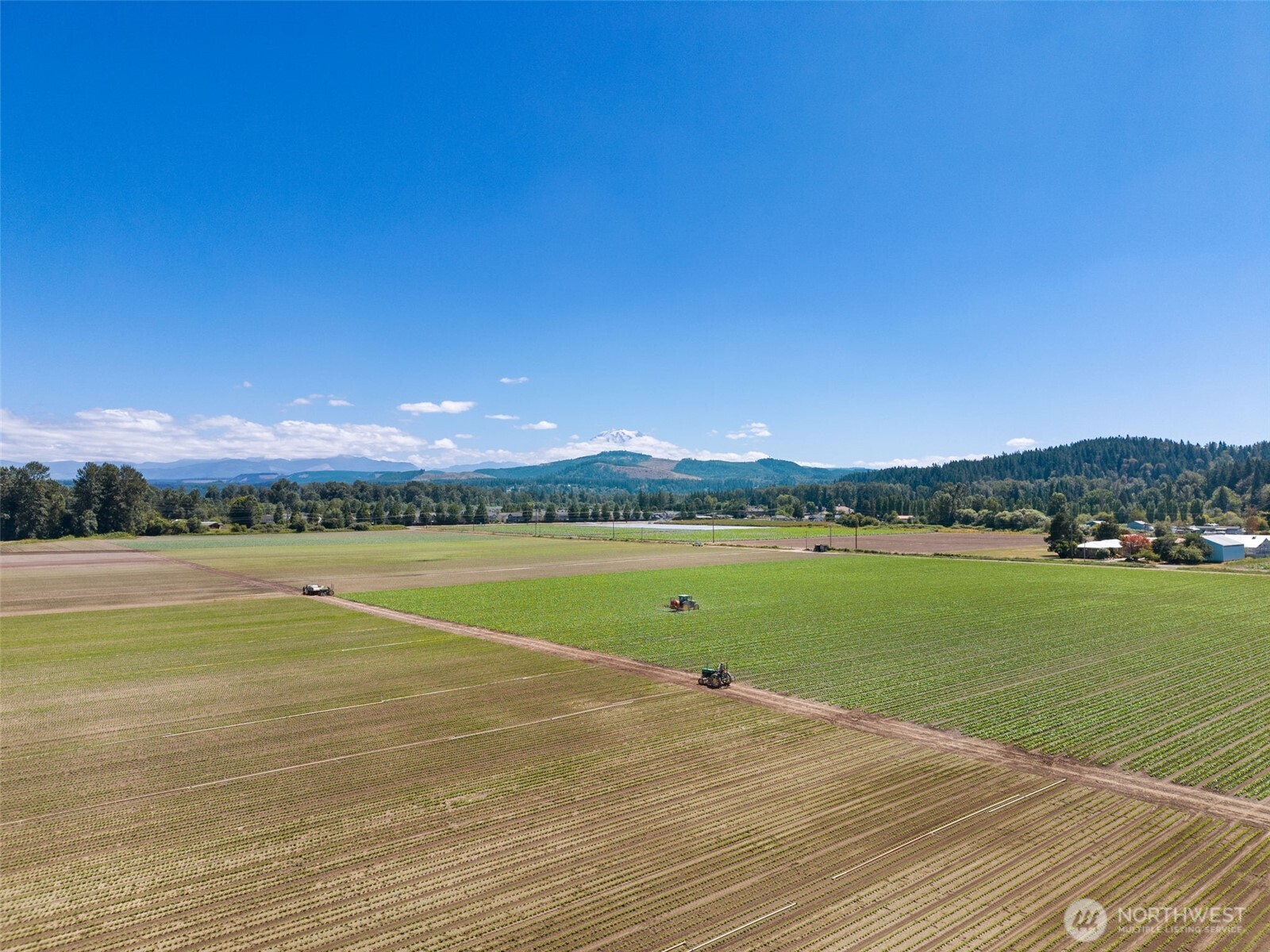 18213 & 18307 150th Avenue Ct Property Photo 19