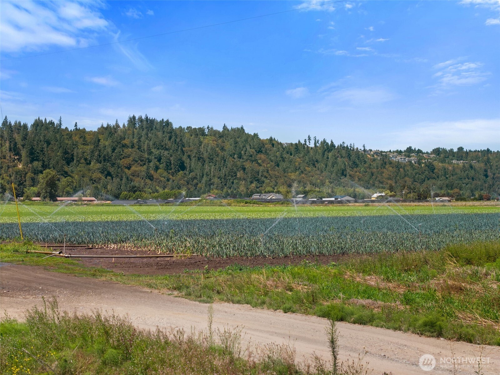 18213 & 18307 150th Avenue Ct Property Photo 23