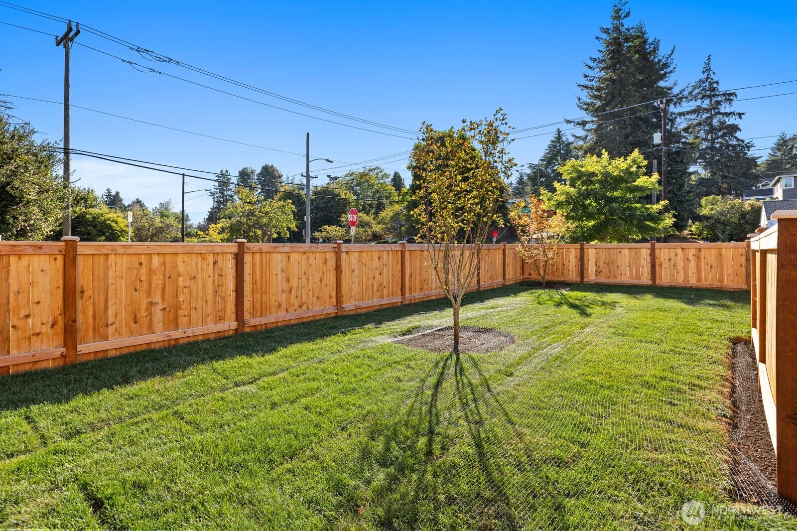 3314 W Dravus Street Property Photo 25