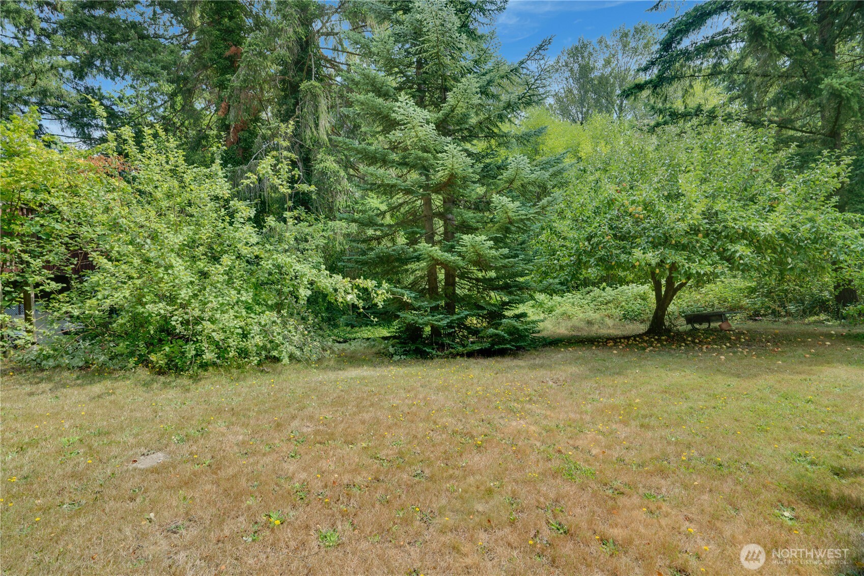 2118 80th Street Property Photo 37