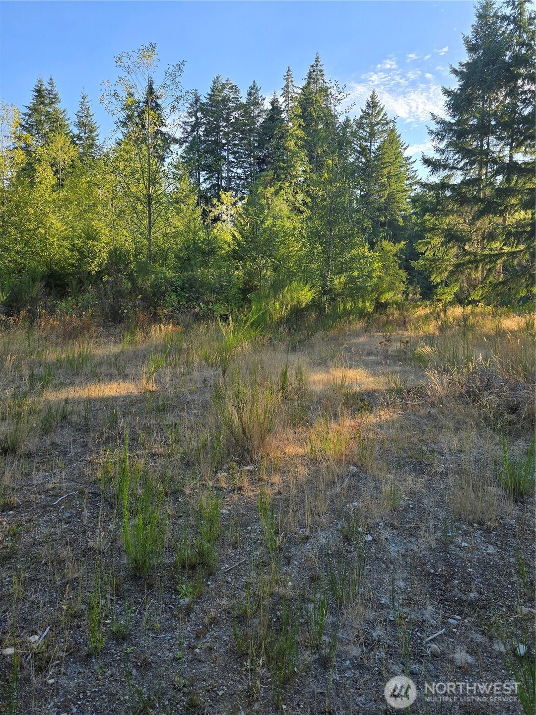 14506 106th Street Ct Property Photo 4