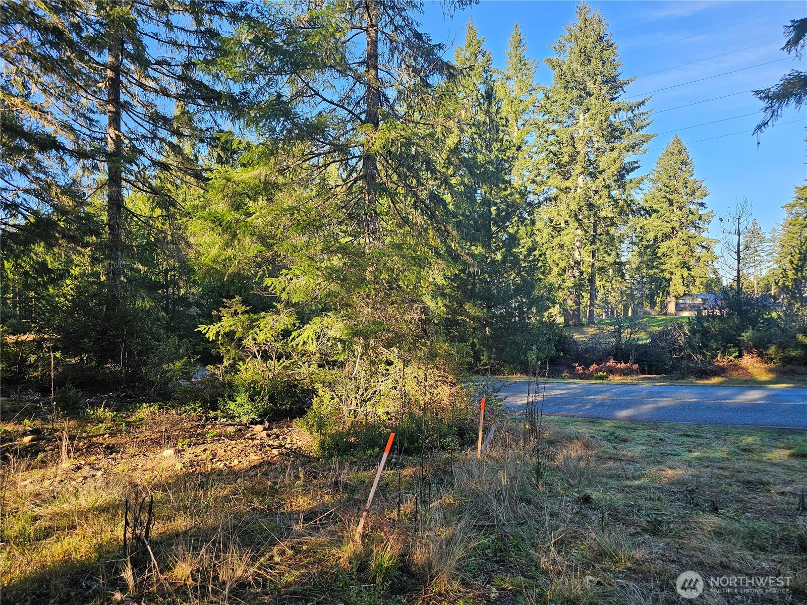 1190 E Manzanita Drive Property Photo 6