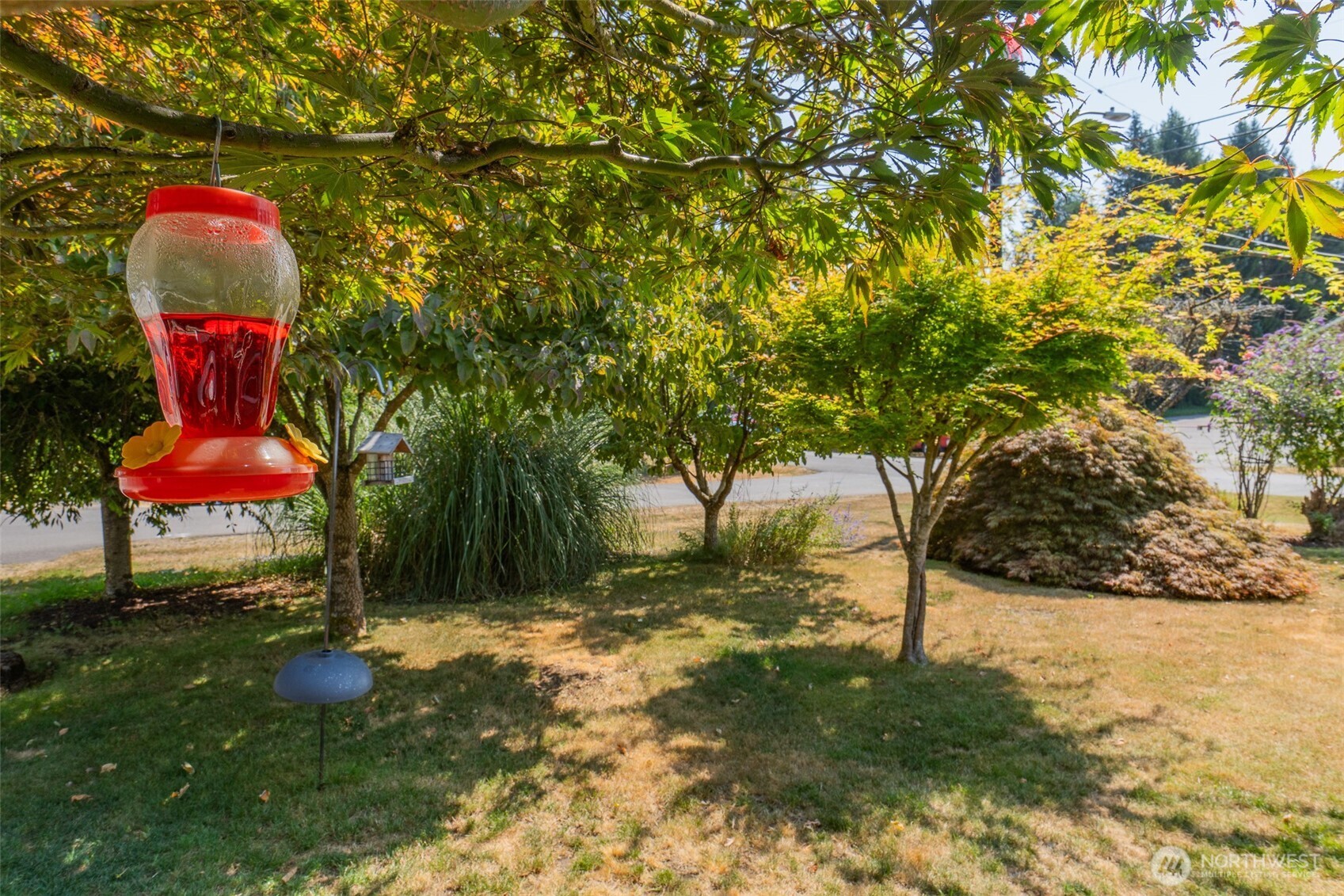 1815 Curtis Court Property Photo 17