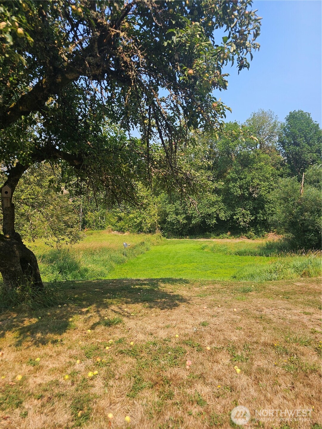 1077 Cline Road Property Photo 7