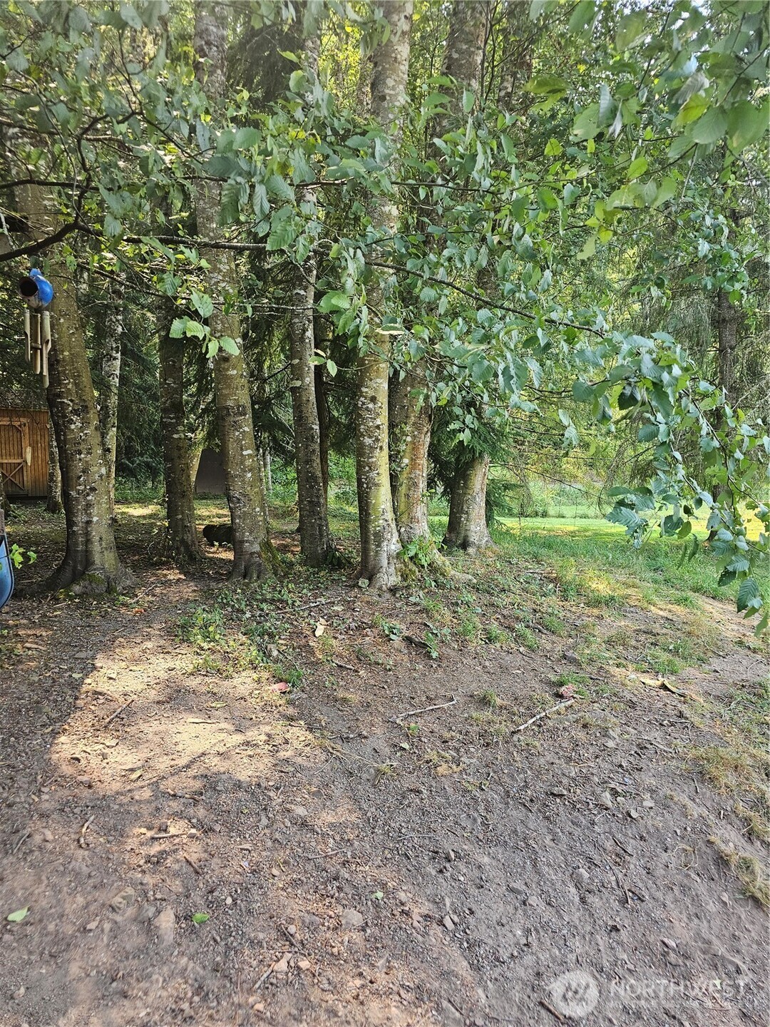 1077 Cline Road Property Photo 11