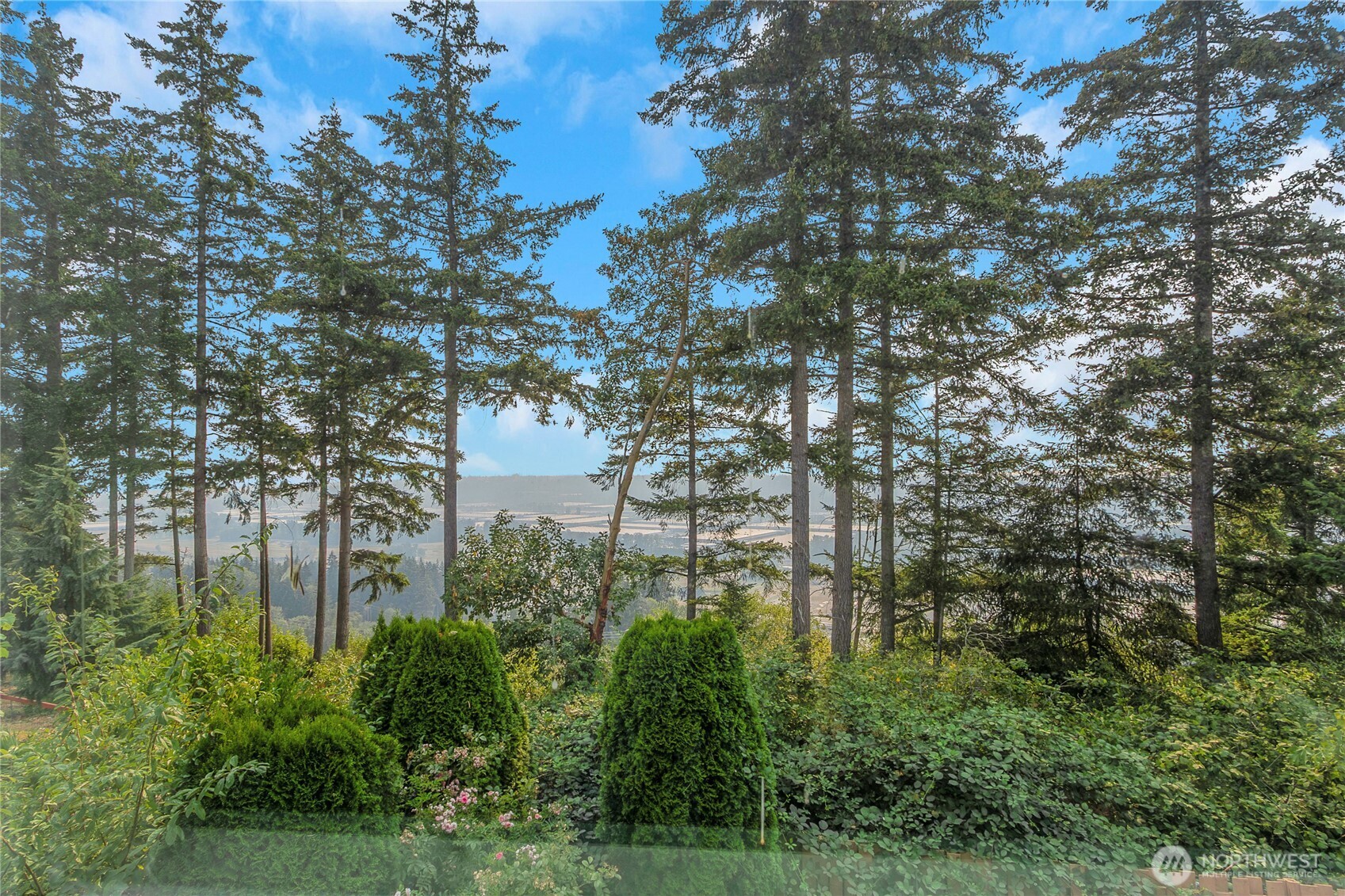 6735 Montevista Drive Property Photo 36
