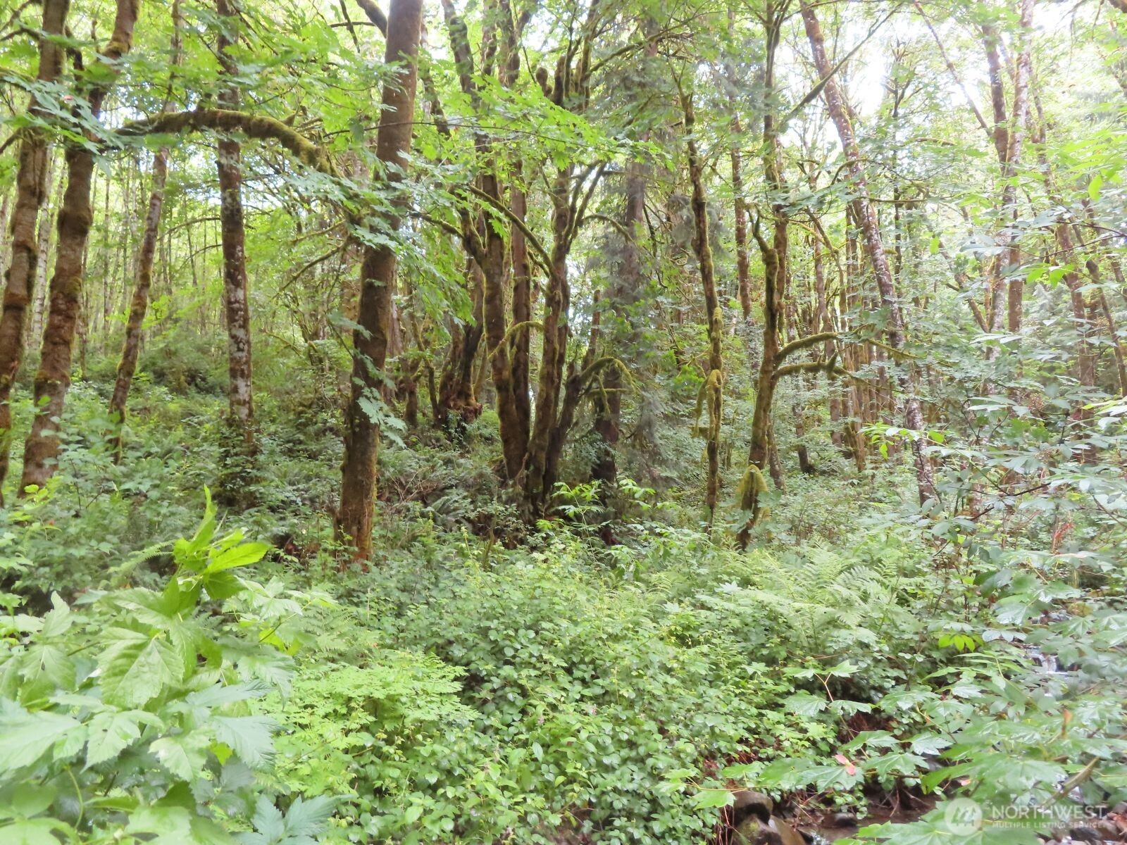 0 Xxx Sylvan Way Property Photo 4
