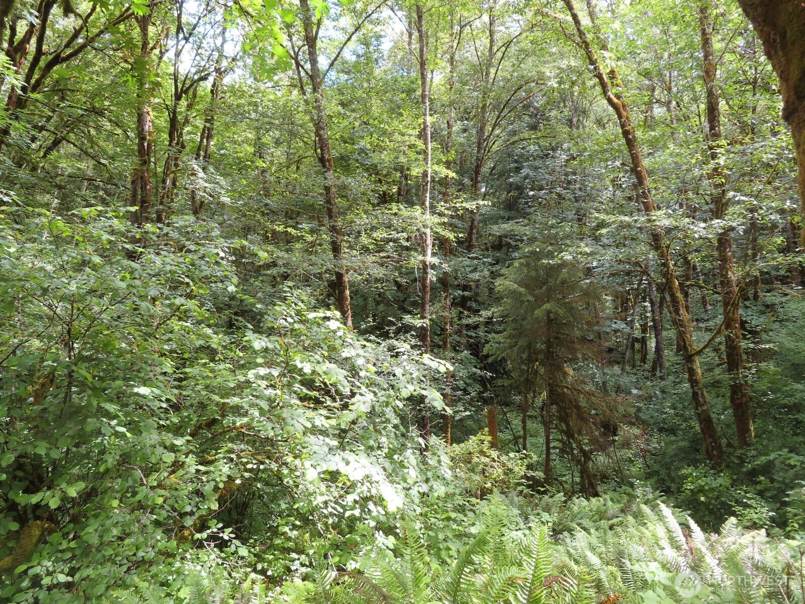 0 Xxx Sylvan Way Property Photo 10