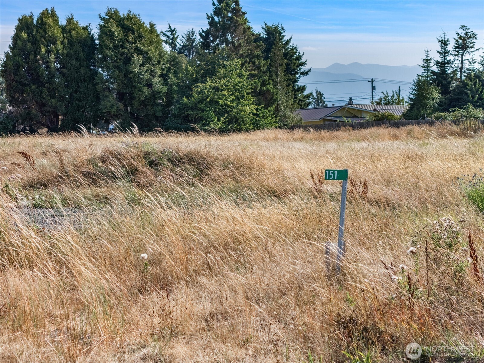 151 Lange Lane Property Photo 4