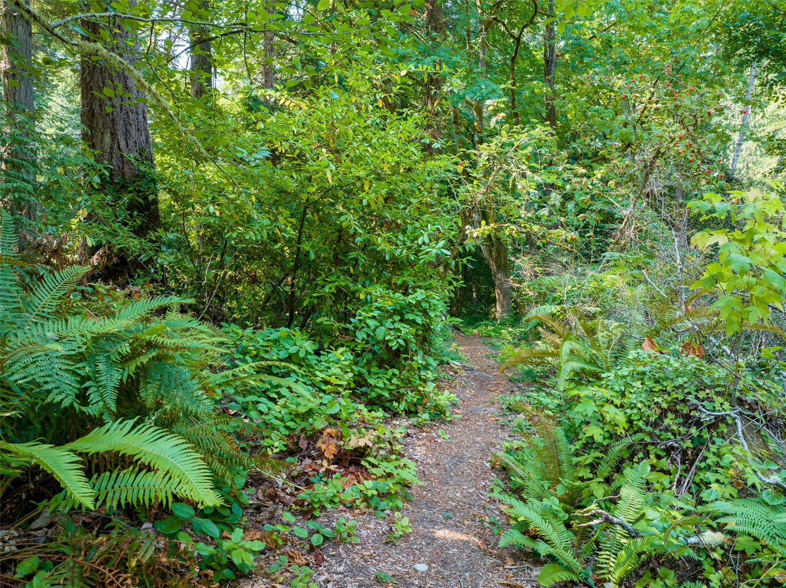 9998 Ne Lofgren Road Property Photo 6