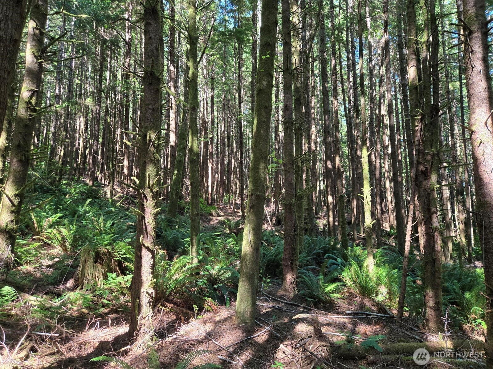 0 Nka S.r. 109 Spur Property Photo 1