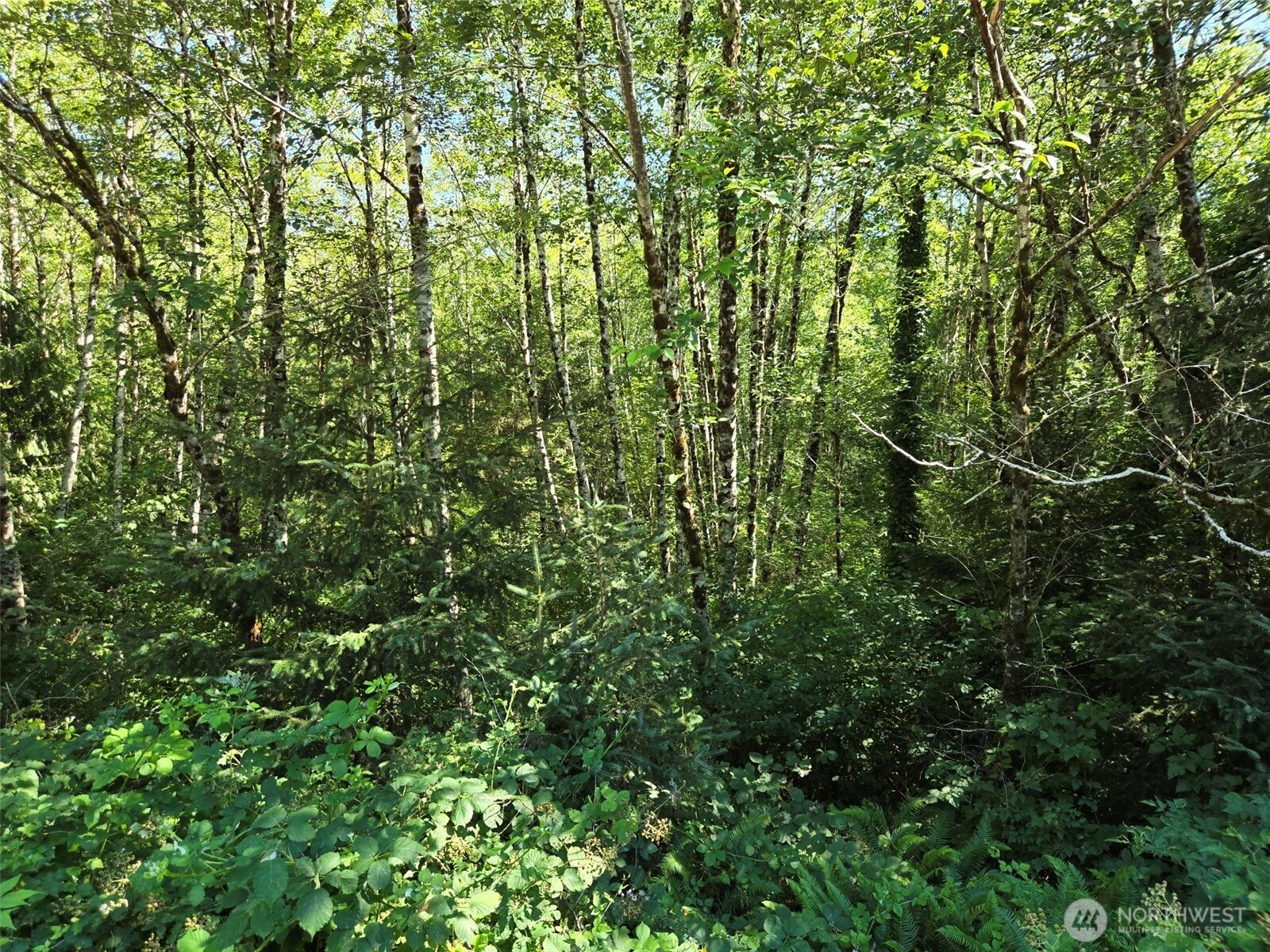 0 Nka S.r. 109 Spur Property Photo 7
