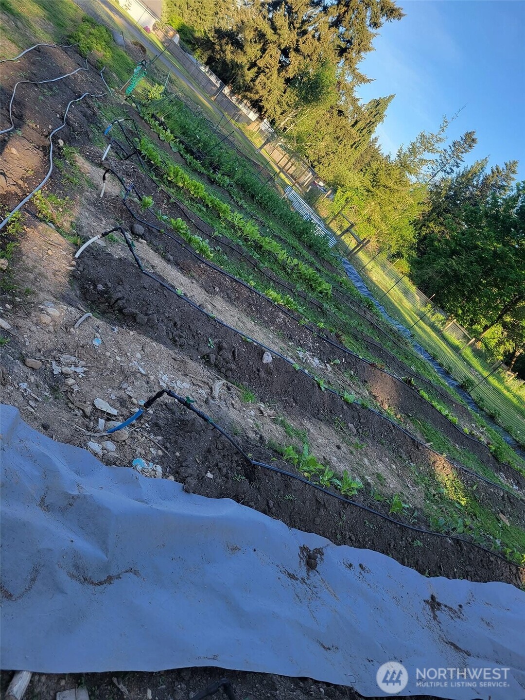 13013 224th Street Property Photo 35