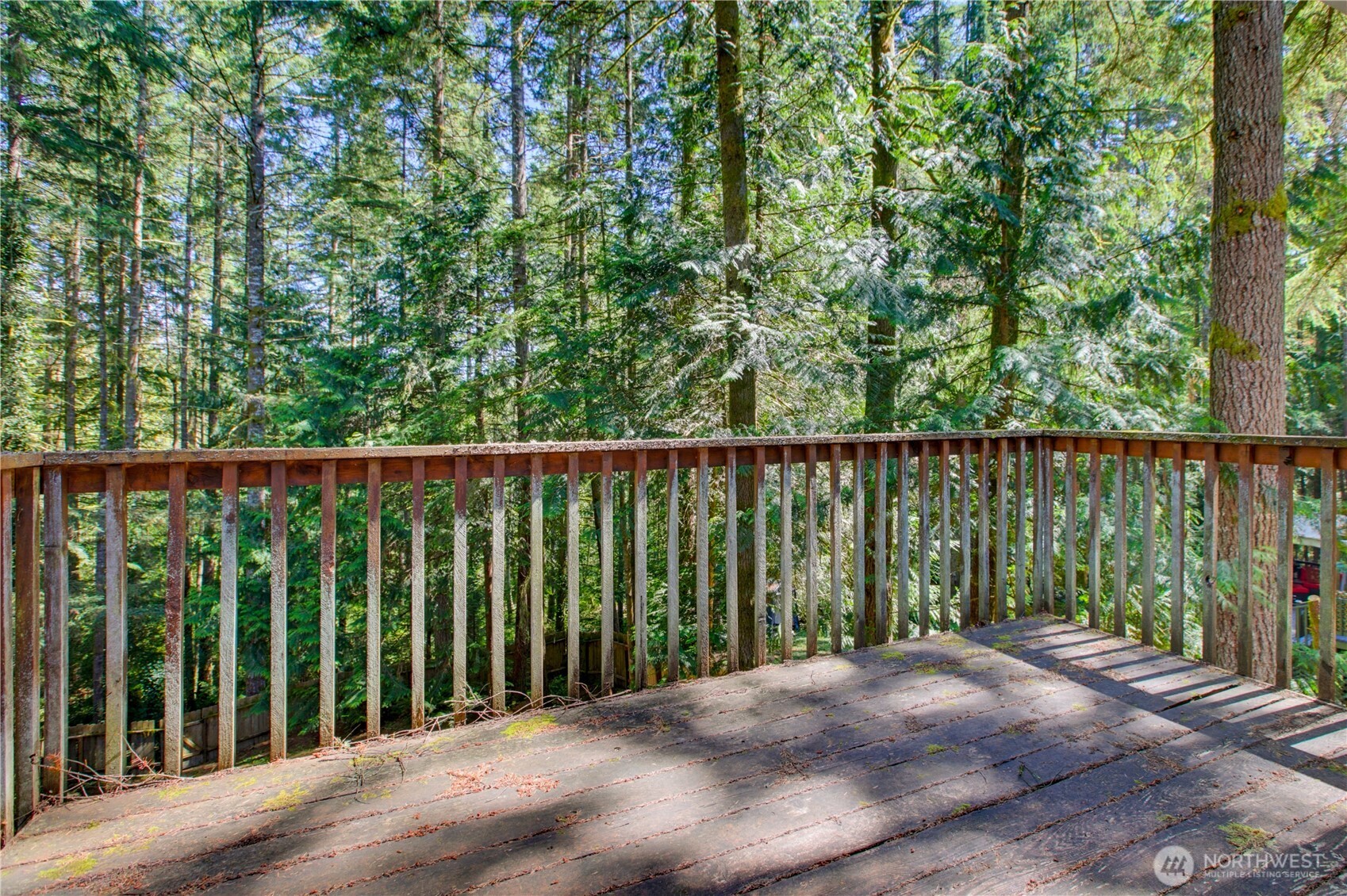 10015 Jimi Place Property Photo 22