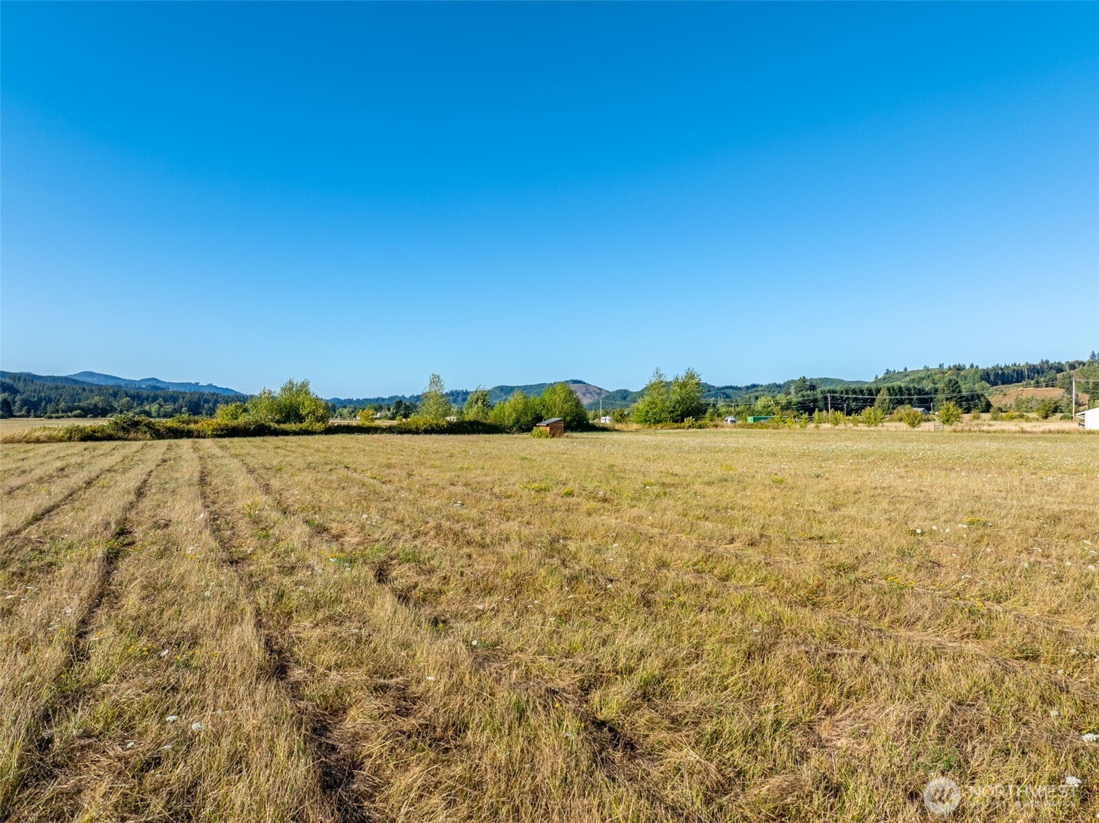 785 Pe Ell Mcdonald Road Property Photo 21