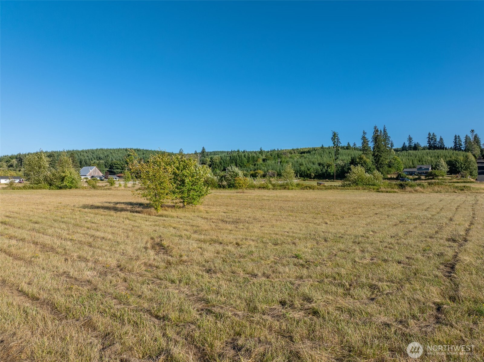 785 Pe Ell Mcdonald Road Property Photo 22