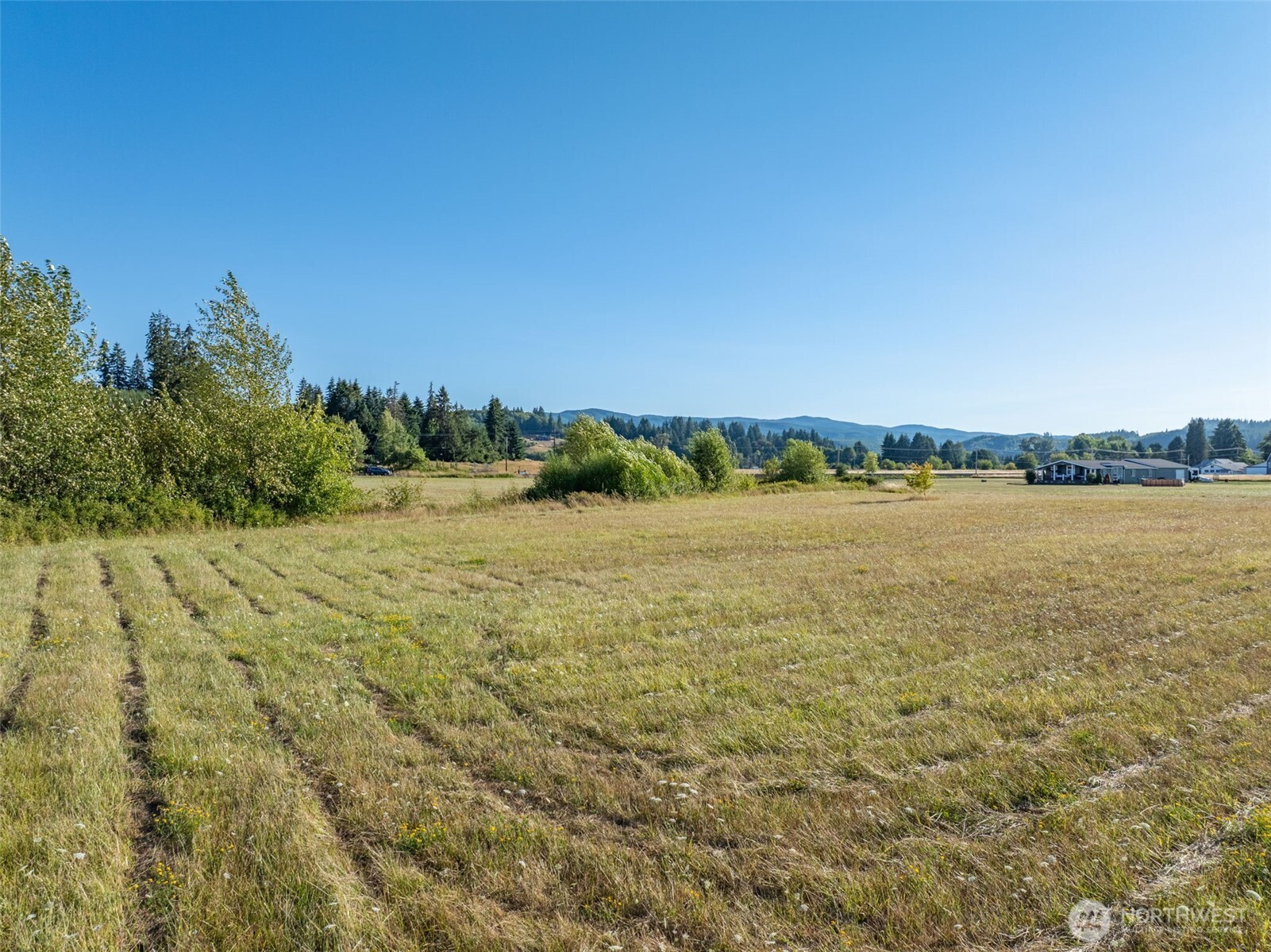 785 Pe Ell Mcdonald Road Property Photo 23