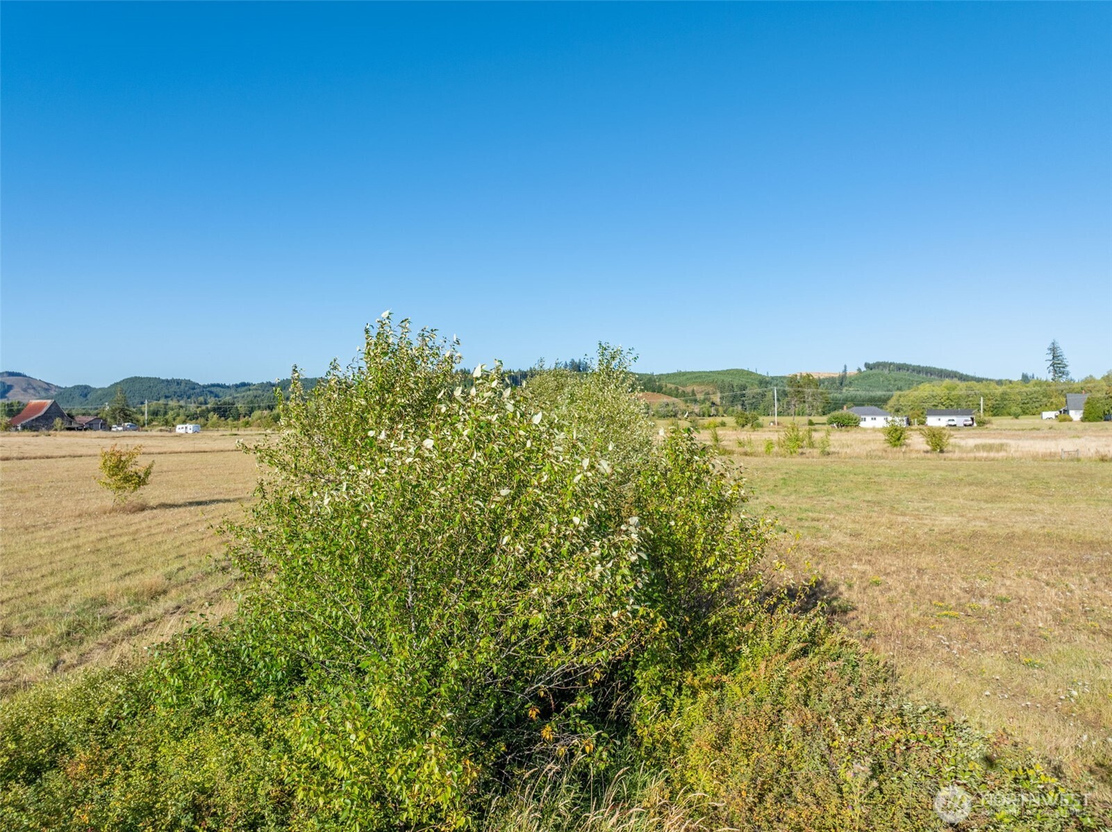 785 Pe Ell Mcdonald Road Property Photo 28