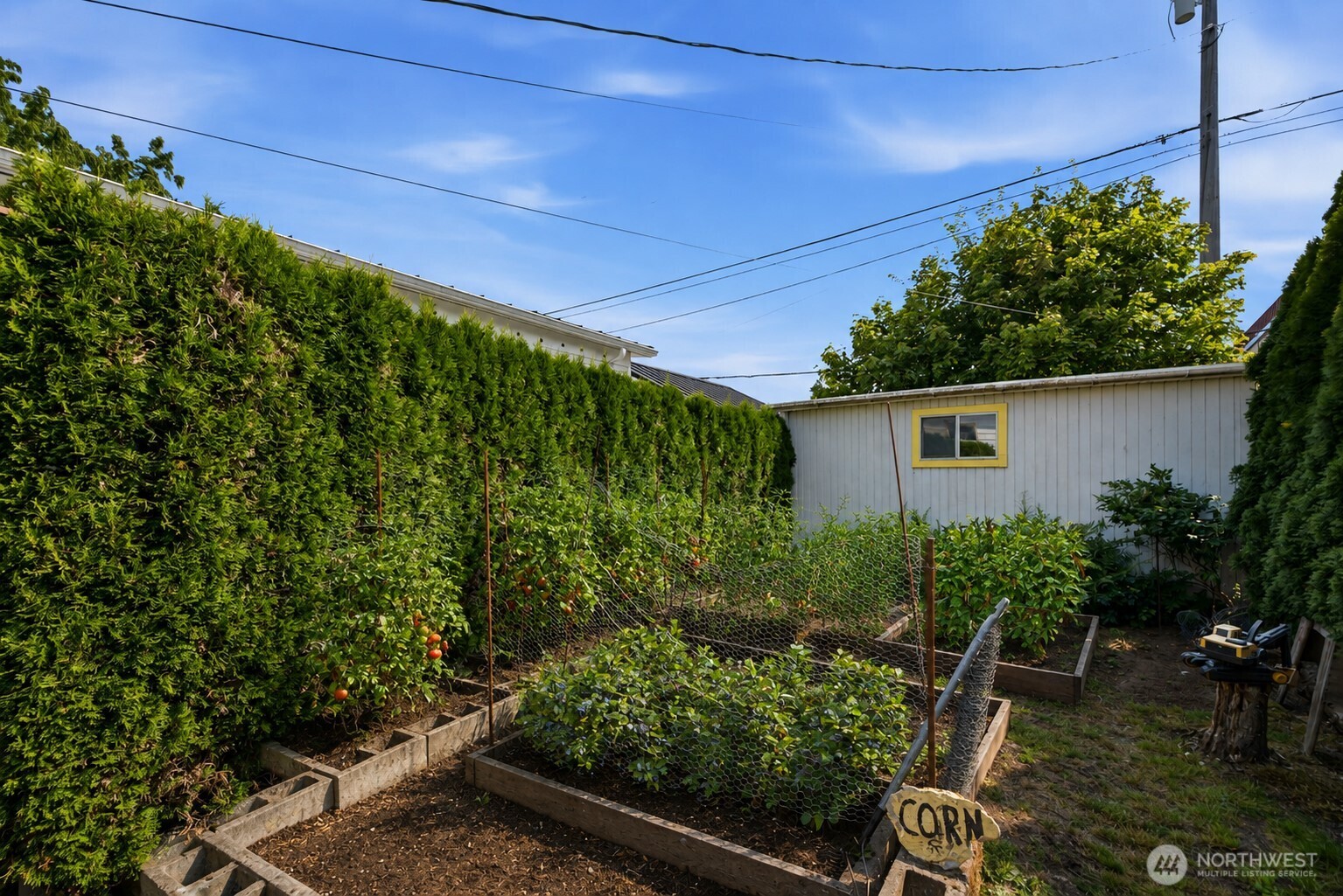 1515 Lombard Avenue Property Photo 26