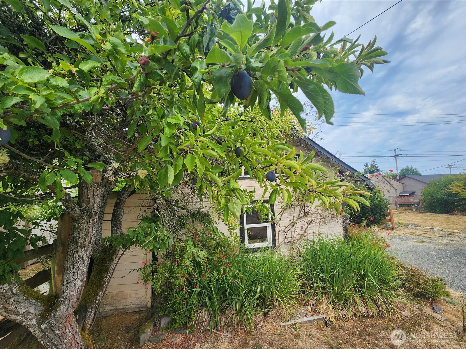 215 W Motor Avenue Property Photo 38