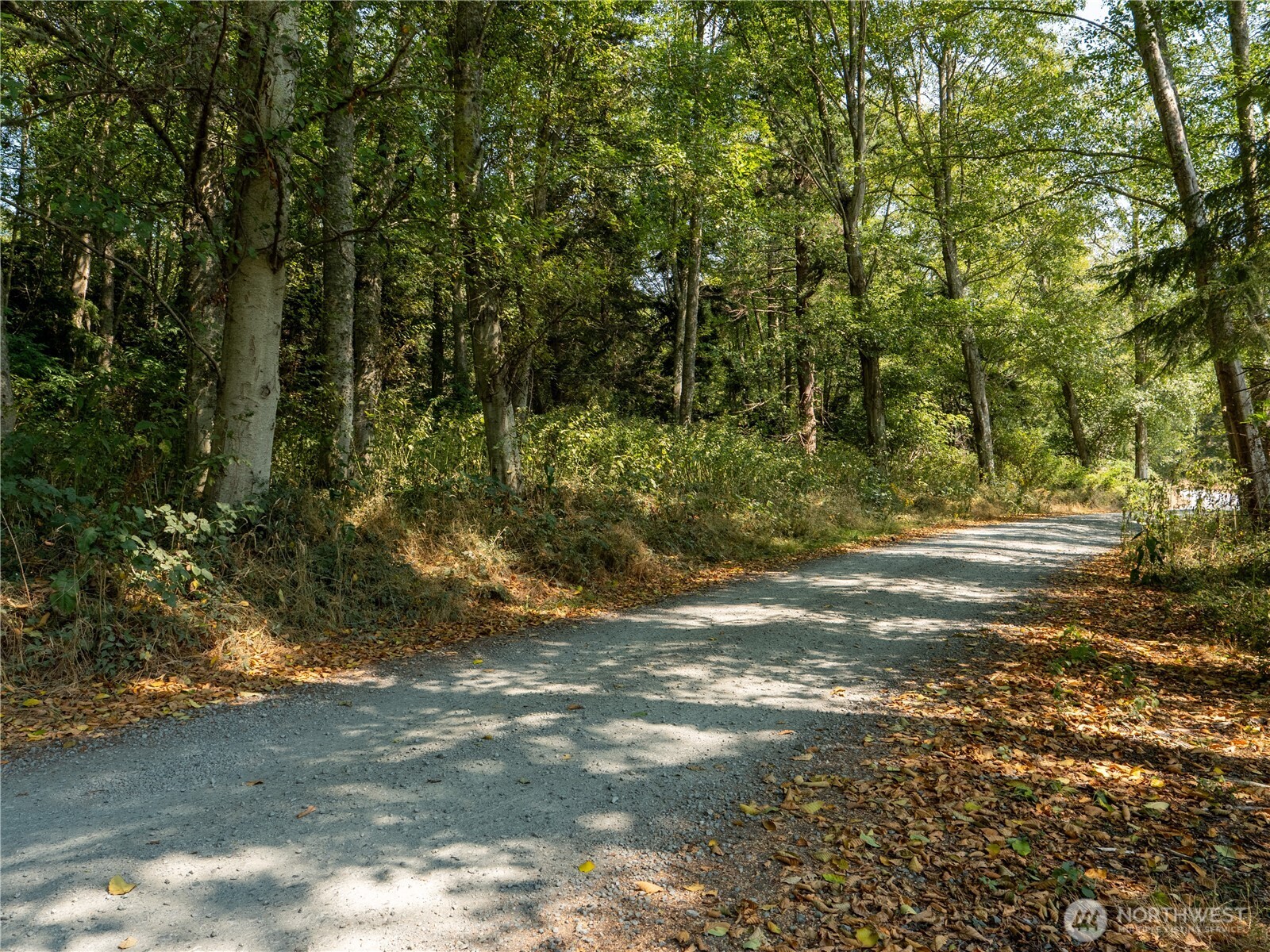 0 Small Lane Property Photo 4