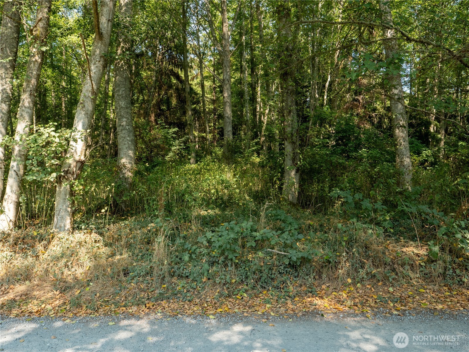 0 Small Lane Property Photo 5